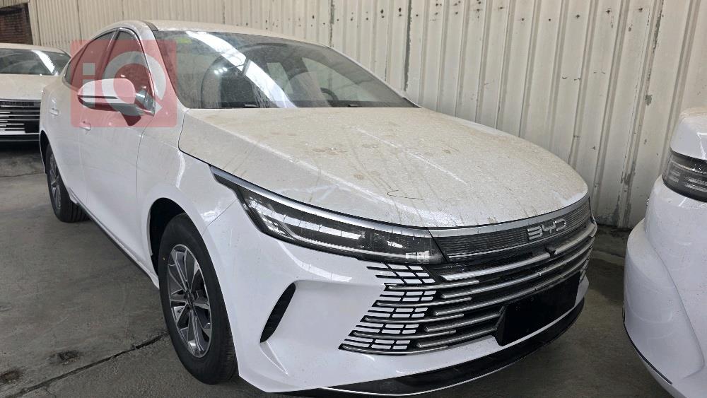 بي واي دي ديستروير 05